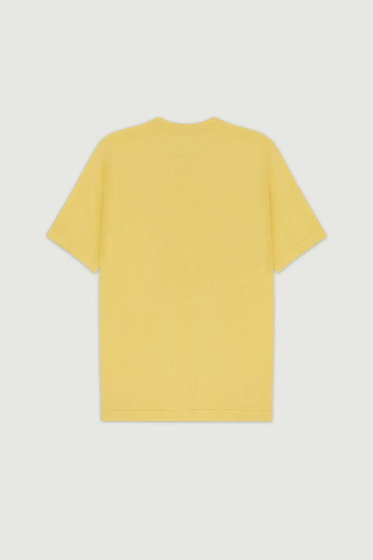 Açık Sarı Bisiklet Yaka Triko Erkek T-Shirt  Mısırlı