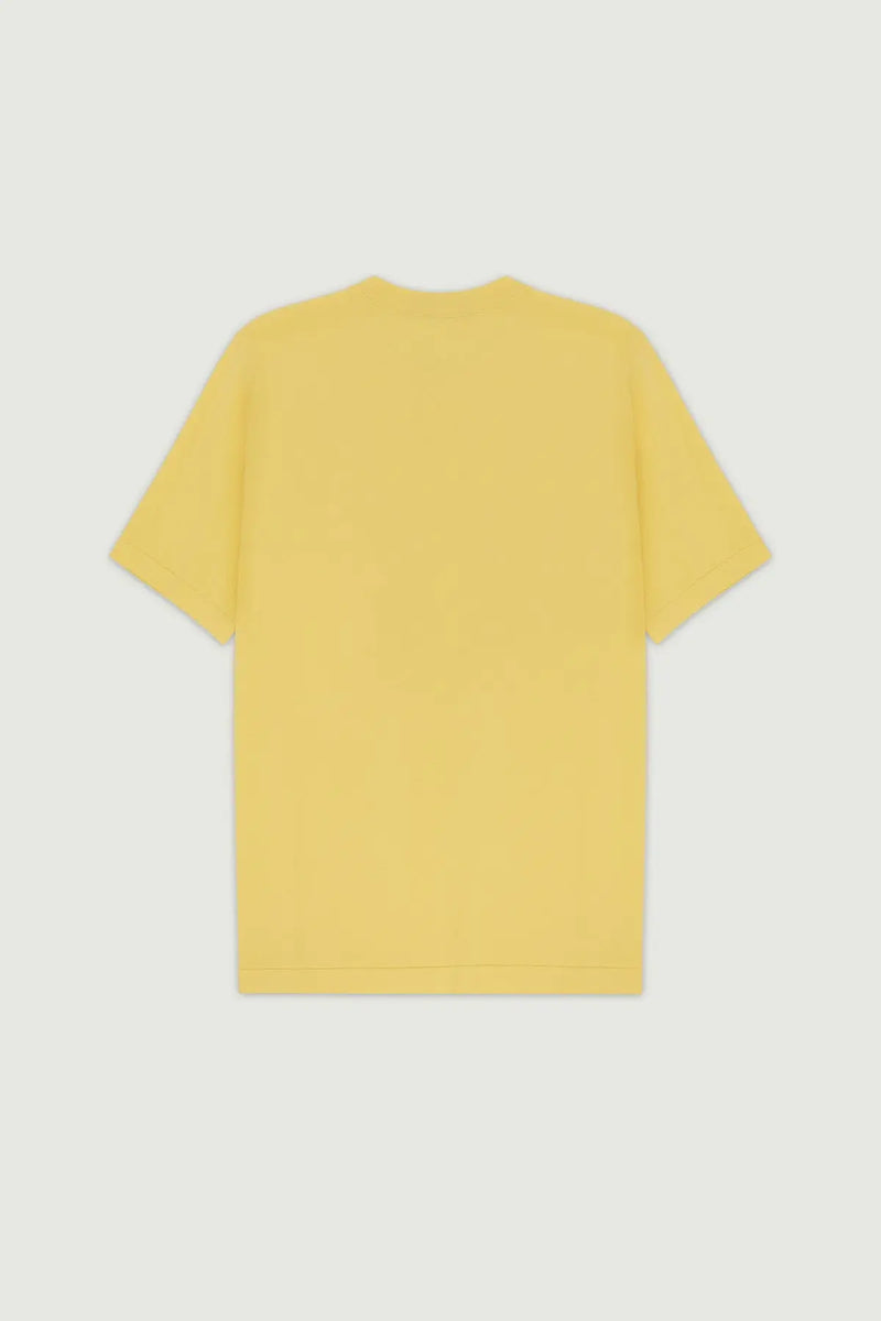 Açık Sarı Bisiklet Yaka Triko Erkek T-Shirt